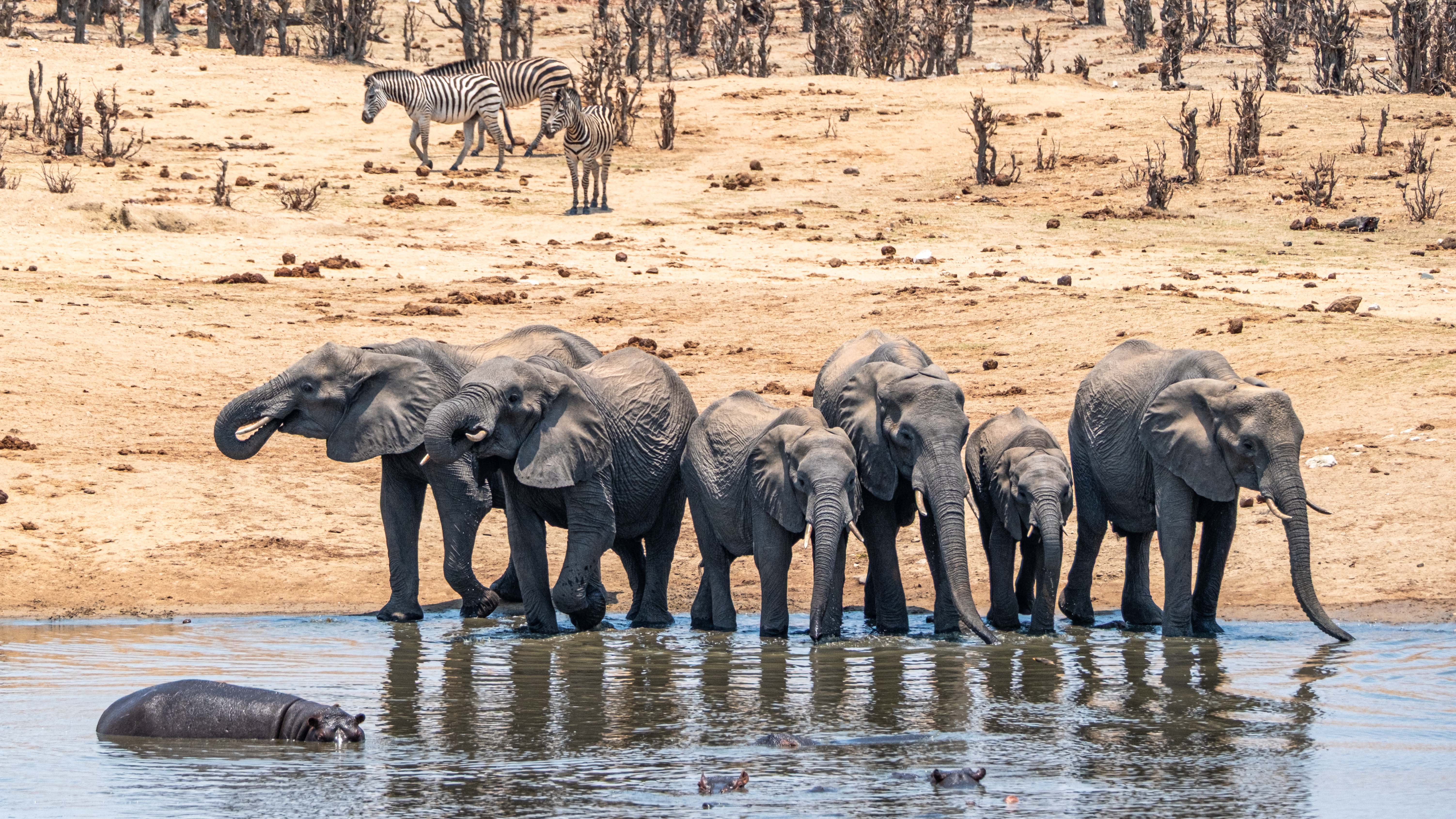 Hwange-Nationalpark