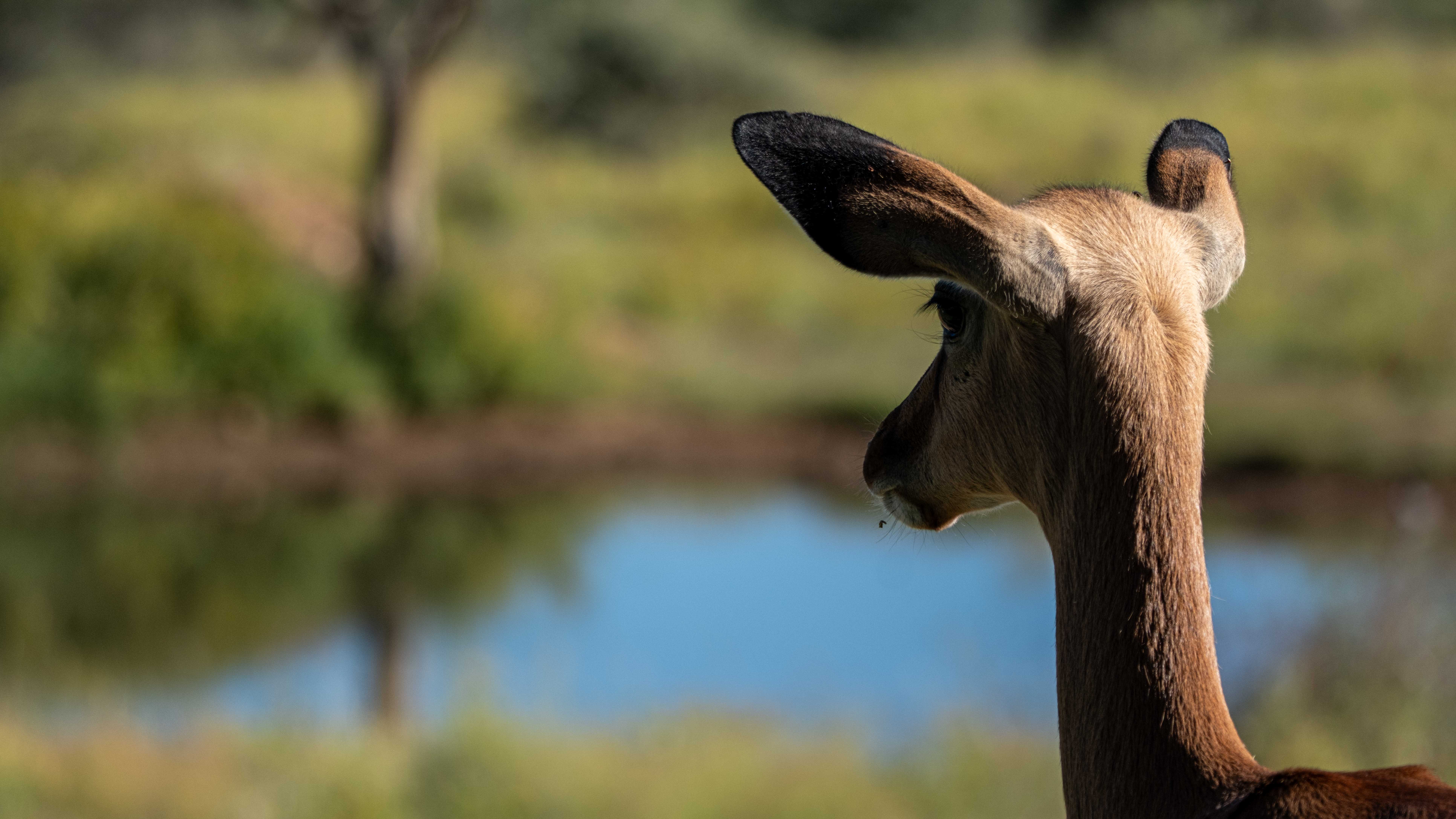 Start in der Auas Lodge